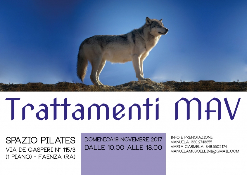 2017-11-19Trattamenti_Faenza_kb