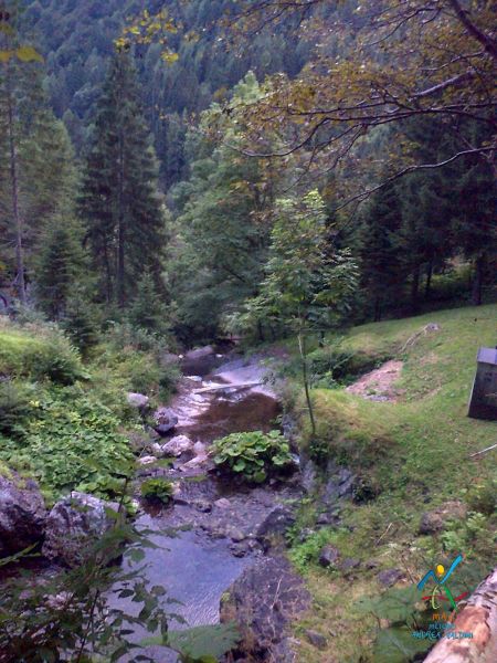 Sciamano Veneto  9 
