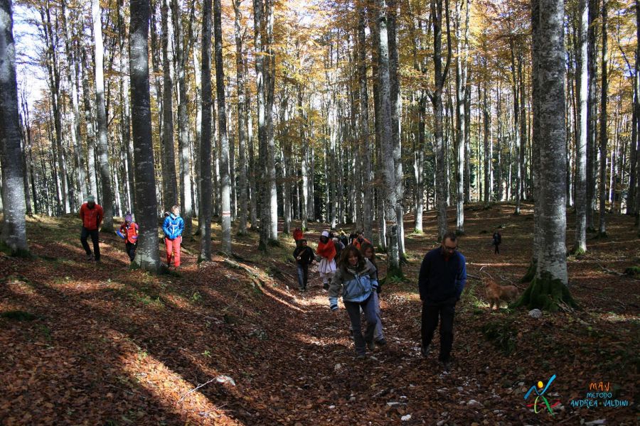 2016 10CALIXTO FOTO FATTE DA ANDREA  35  copia